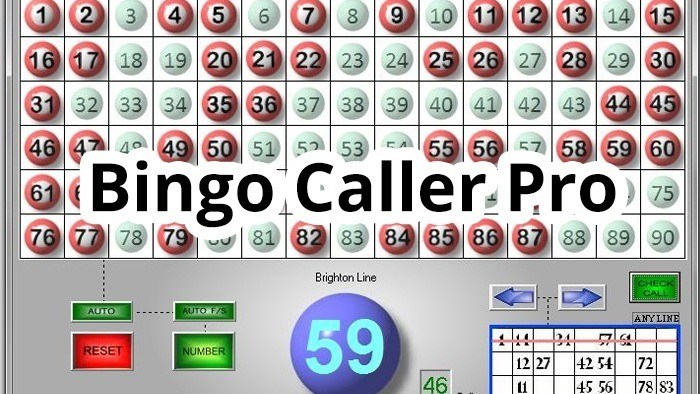 free bingo caller for laptop