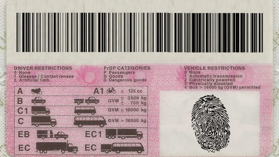 driving licence check
